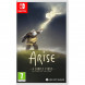 Игра Arise: A Simple Story. Definitive Edition [Nintendo Switch, русские субтитры] в Архангельске