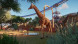 Игра Planet Zoo: Console Edition [PS5, английская версия] в Архангельске