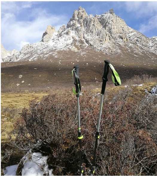 Треккинговая палка Naturehike 135 см, 1шт., серый/зеленый в Архангельске