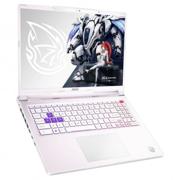 Ноутбук MSI Crosshair A16 HX MLG Edition E8WFK-090XRUY (16&amp;quot;, IPS, AMD Ryzen 9 8940HX 2.4ГГц, 16 ядер, 16ГБ DDR5, 1ТБ SSD, NVIDIA GeForce RTX 5060 - 8 ГБ, без ОС), белый в Архангельске