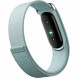 Фитнес-браслет Google Fitbit Air (Серо-голубой/Fog) в Архангельске