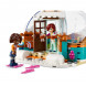 Конструктор LEGO Friends 41760 Праздничное приключение в иглу в Архангельске